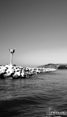 IMG_1066 copy.jpg