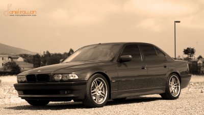 IMG_7274sfs copy.jpg
