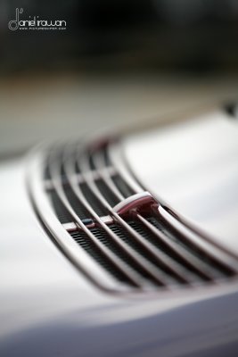 IMG_7310s copy.jpg