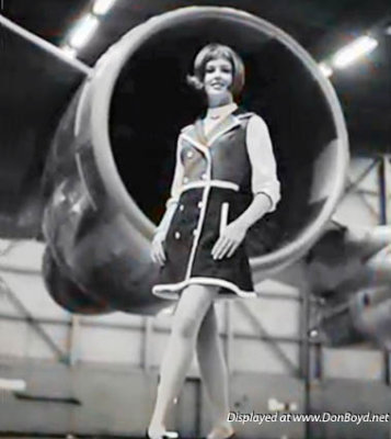 Beauty from American Airlines in the late 1960's