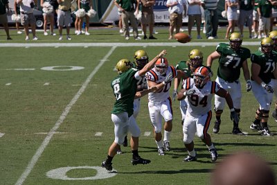 IMG_2707.jpg