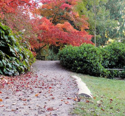 Seattle Arboretum