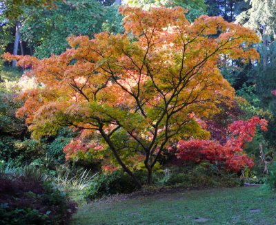Seattle Arboretum