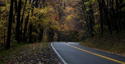 Fall