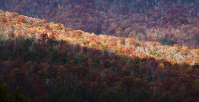Fall