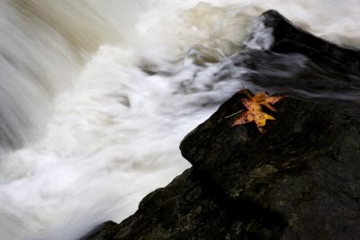 Fall