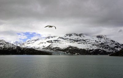 Bartlett Cove...and into Glacier Bay...