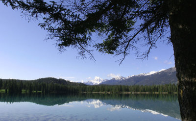 Lac Beauvert, Jasper National Park