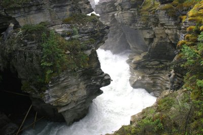 Athabasca Rapids
