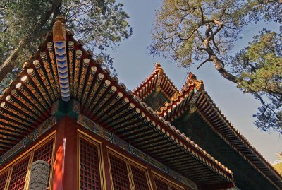 Beijing Views..