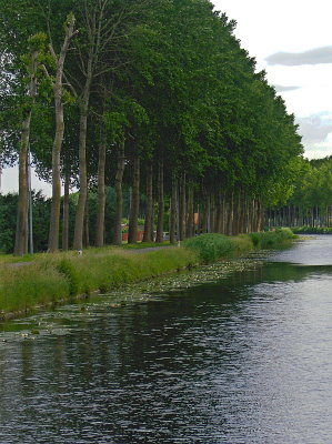 POPLAR LINED CANAL
