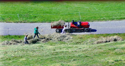 KIDS COLLECTING HAY