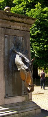 EQUINE WATER TAP