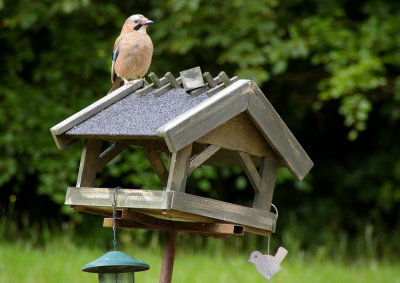 Birdhouse I