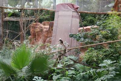 Parc Paradisio the Ath 0116.jpg