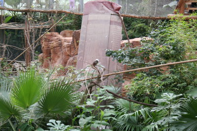 Parc Paradisio the Ath 0117.jpg