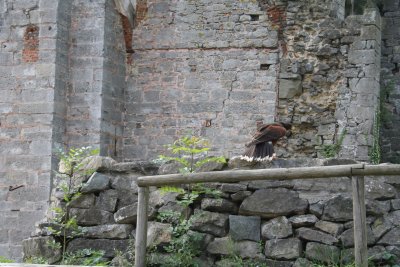 Parc Paradisio the Ath 0119.jpg