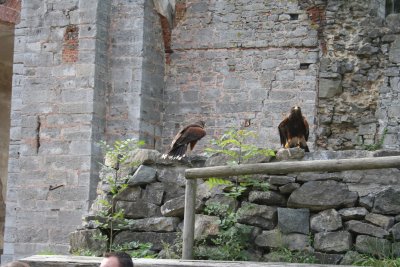 Parc Paradisio the Ath 0122.jpg