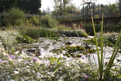 Parc Paradisio the Ath 0156.jpg