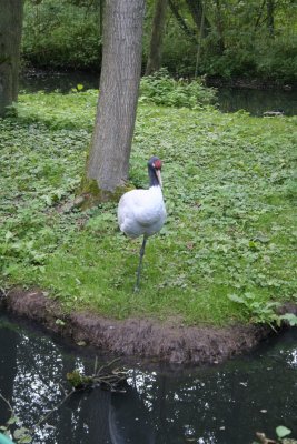 Parc Paradisio the Ath 0160.jpg