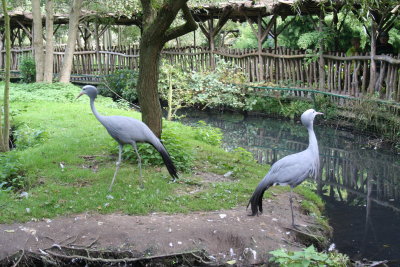 Parc Paradisio the Ath 0165.jpg