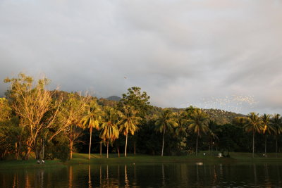 Taiping Lakegarden, Perak