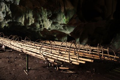 Bamboo poles