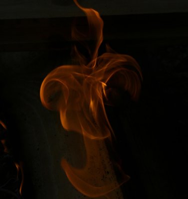 Fire Plant