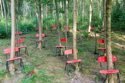 Chairs in the forest ...