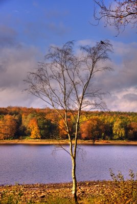 Swinsty Reservoir.