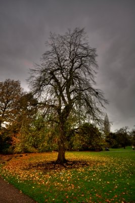 Museum Gardens