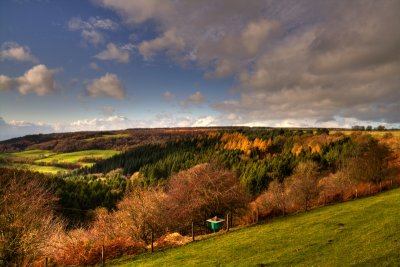 Hambleton Hills