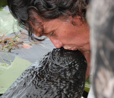 Everglades Airboat Tour