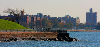 Shore Road, Brooklyn, NY