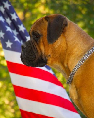 Freeda's Flag