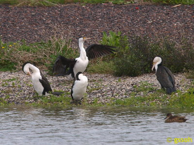 090928-WTW-694a.jpg