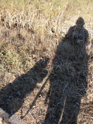 g5/21/901021/3/119451060.chLW63yz.jpg