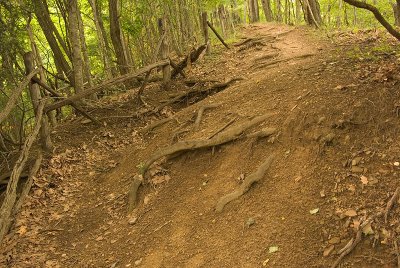 The Trail to Heritage Point