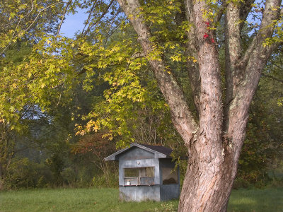 The Ticket Booth