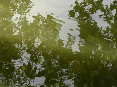 Look into the Waters of Lake Shawnee