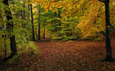 P hstpromenad i Snogeholm