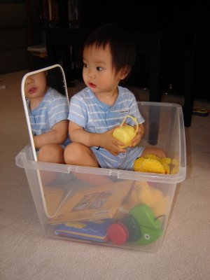 聚聚在盒子裡照鏡子