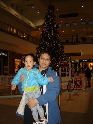 Mall 裡的大聖誕樹前