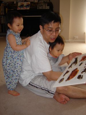 爸爸教小朋友認識動物
