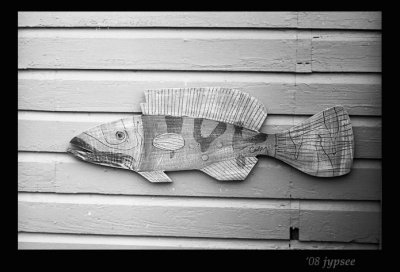 boutique fish
