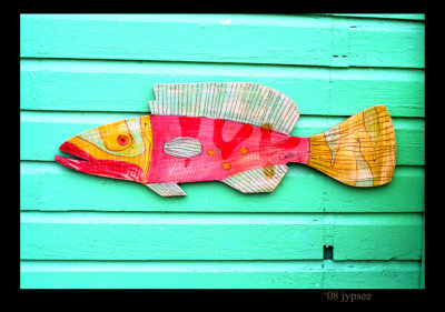 boutique fish in vivid color