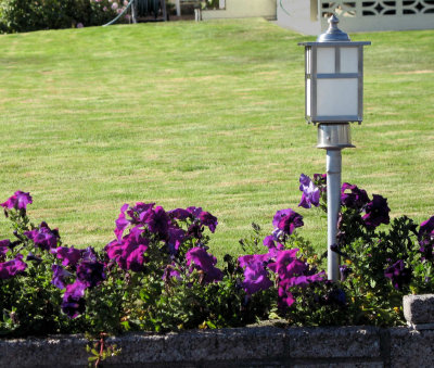 Yard Lantern