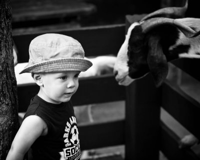 Boy and Goat