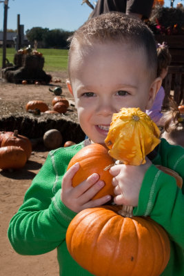 An Armful of Fall