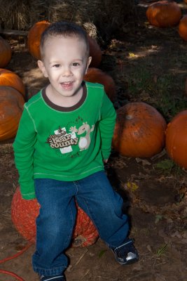 Pumpkin Sitter